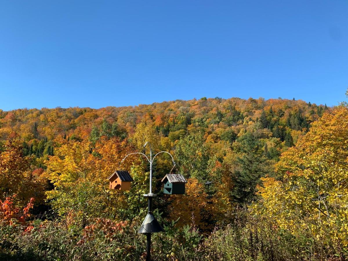 Loft Nature Laurentides Val-des-Lacs Kültér fotó