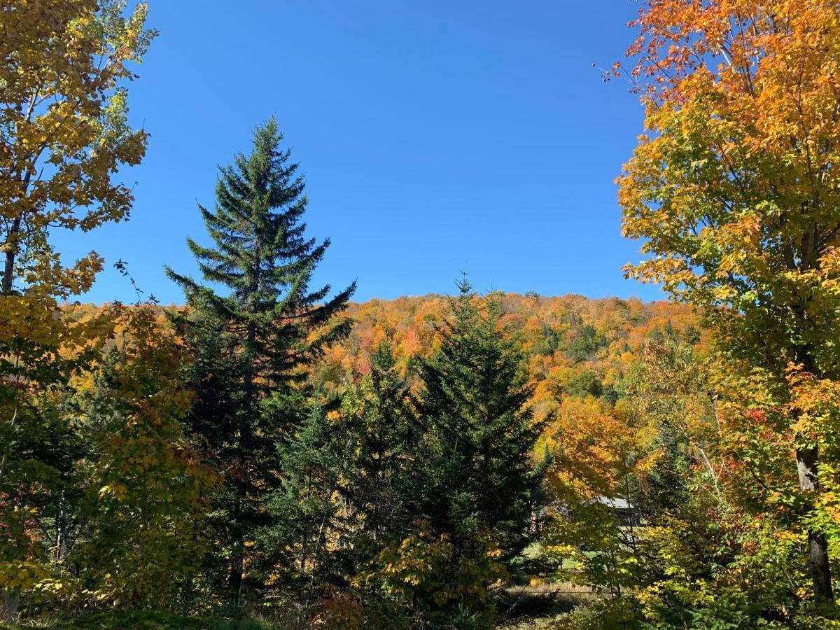 Loft Nature Laurentides Val-des-Lacs Kültér fotó