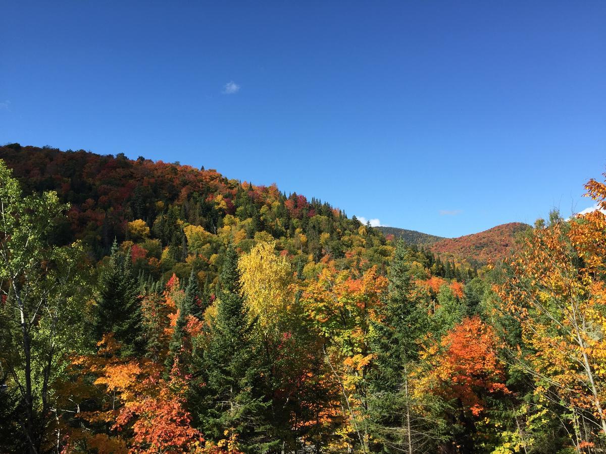 Loft Nature Laurentides Val-des-Lacs Kültér fotó