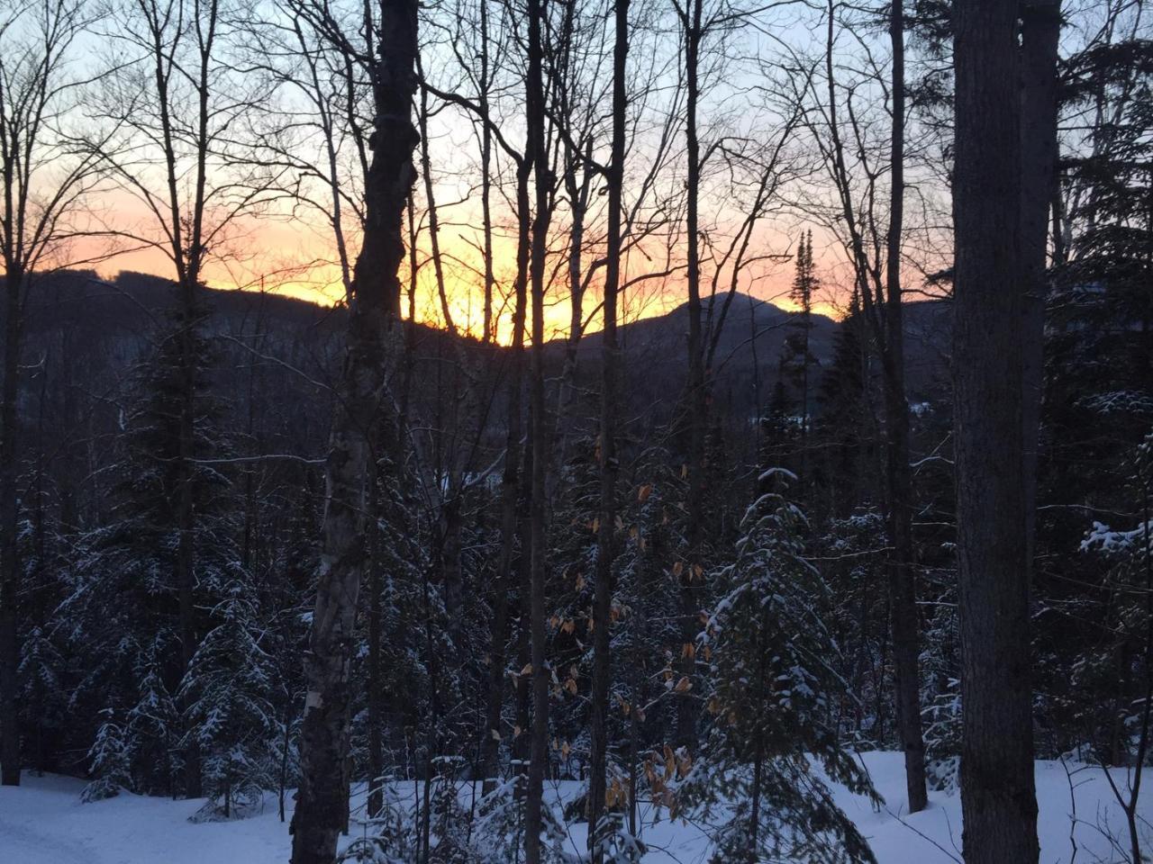 Loft Nature Laurentides Val-des-Lacs Kültér fotó